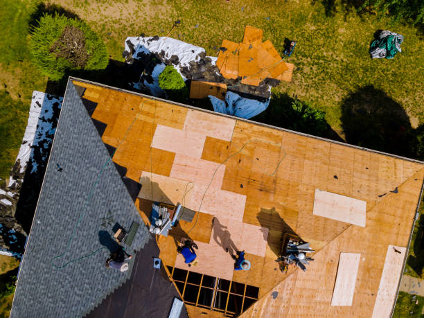 Best Storm Damage Roof Repair  in Dahlone, GA