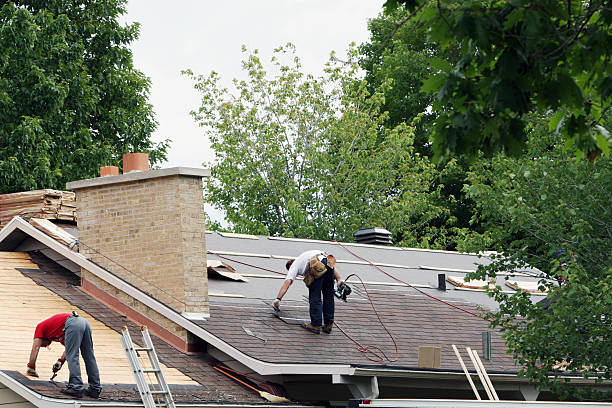 Best Roof Gutter Cleaning  in Dahlone, GA