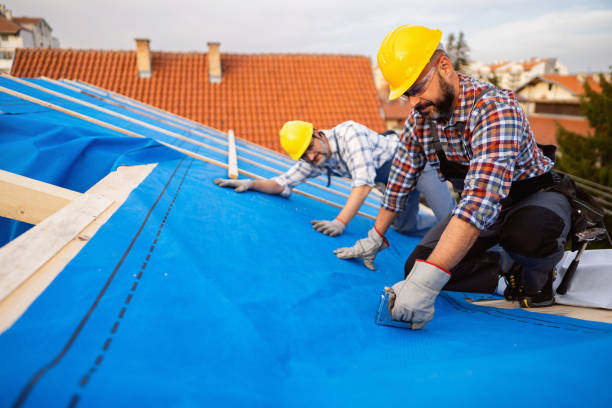 Best Emergency Roof Repair  in Dahlone, GA