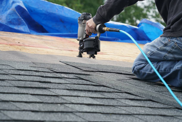 Best Roof Replacement Cost  in Dahlone, GA