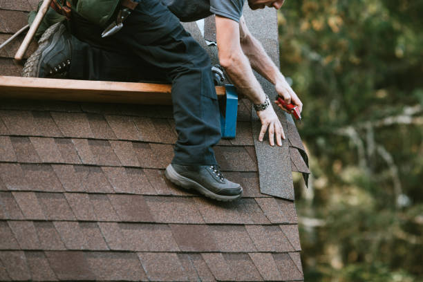 Best Roof Repair Services  in Dahlone, GA